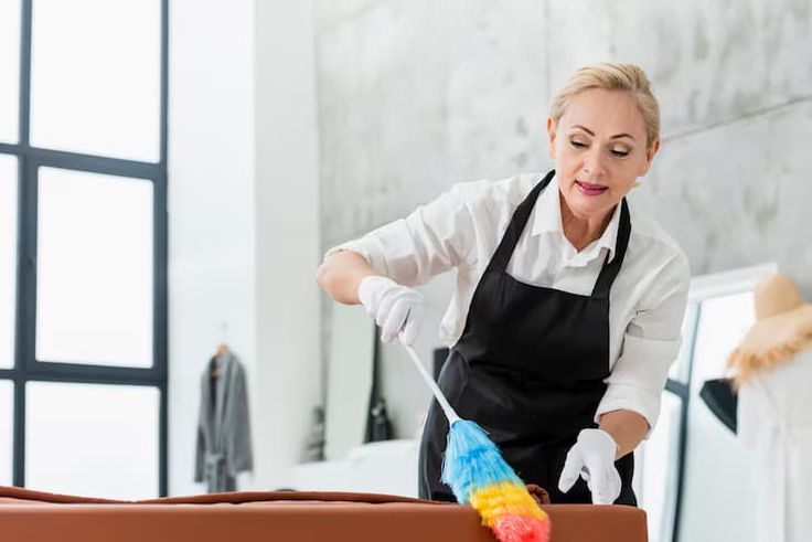 Professional Cleaning